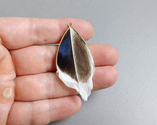 Blue, 40mm Pheasant Natural Feather Teardrop, ECT0114