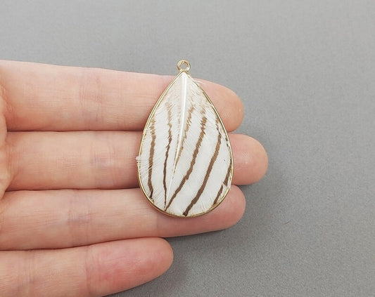 Striped, 40mm Pheasant Natural Feather Teardrop, ECT0114